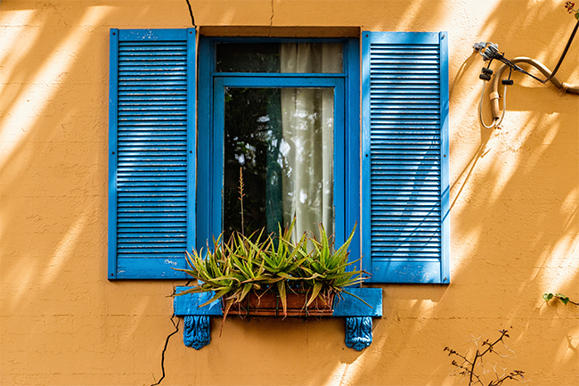 blue-window